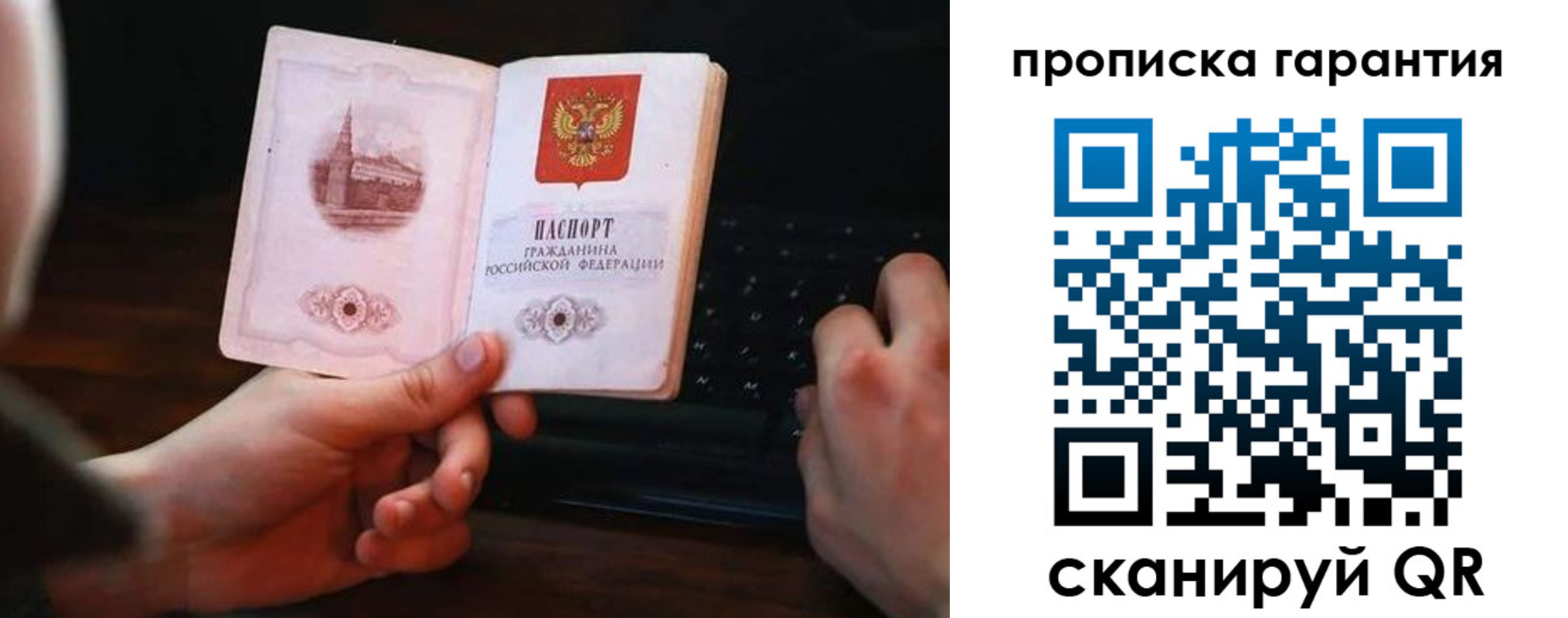 прописка в Купино